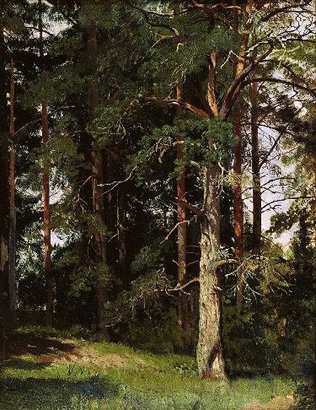 Иван Шишкин «Лес». 1880 г. (из коллекции НТМИИ)