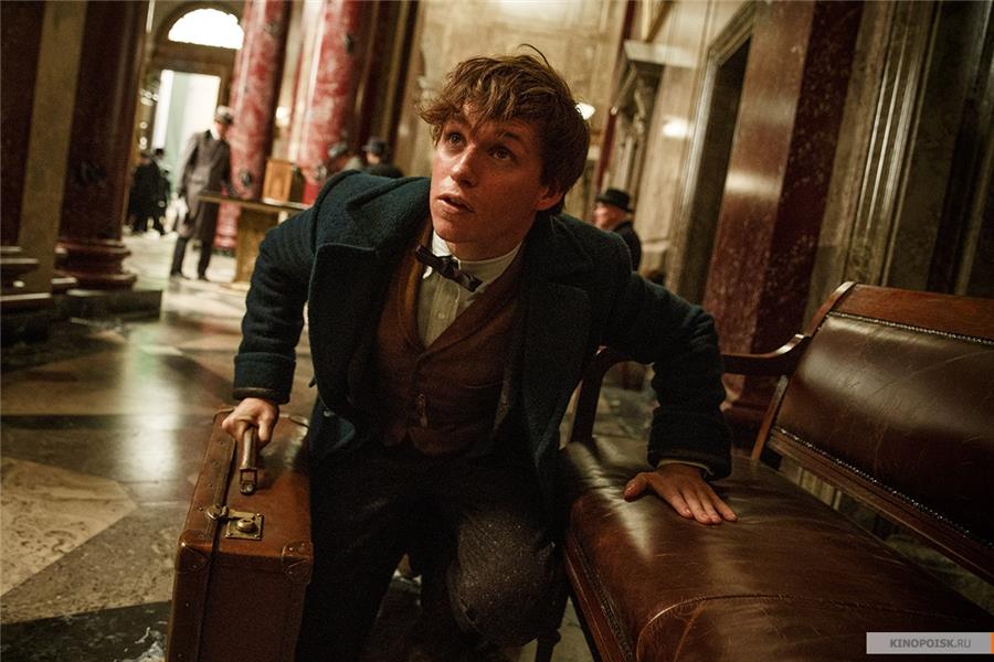 «Фантастические твари» обогнали по сборам все фильмы о Гарри Поттере