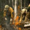 Площадь лесных пожаров в Свердловской области за сутки выросла в 13 раз