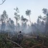 До начала пожароопасного сезона на Среднем Урале осталось меньше двух недель
