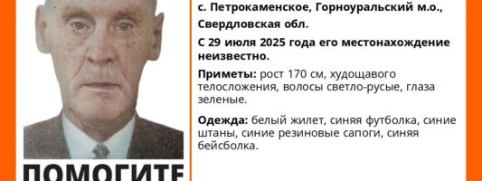 Ушел за черникой: в лесу под Нижним Тагилом потерялся 55-летний мужчина