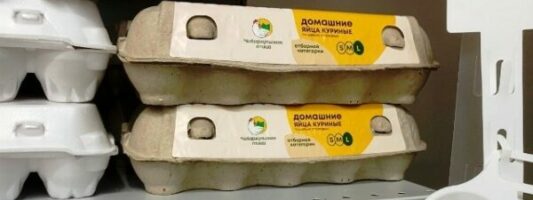 Яйца дешевле, бензин дороже: на Среднем Урале снизилась инфляция