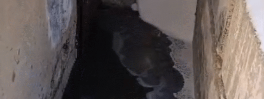 «Соседки просто ревут»: жилой дом в Нижнем Тагиле затопило нечистотами