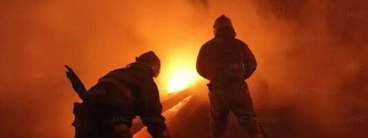 Отец с сыном погибли в пожаре под Нижним Тагилом