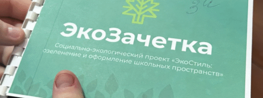 Вместо мусора — цветы: как экопроект одной ученицы объединил целую школу в Нижнем Тагиле