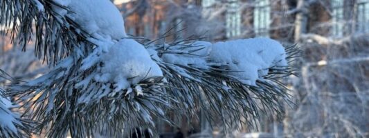 Свердловскую область накроет волна арктического холода