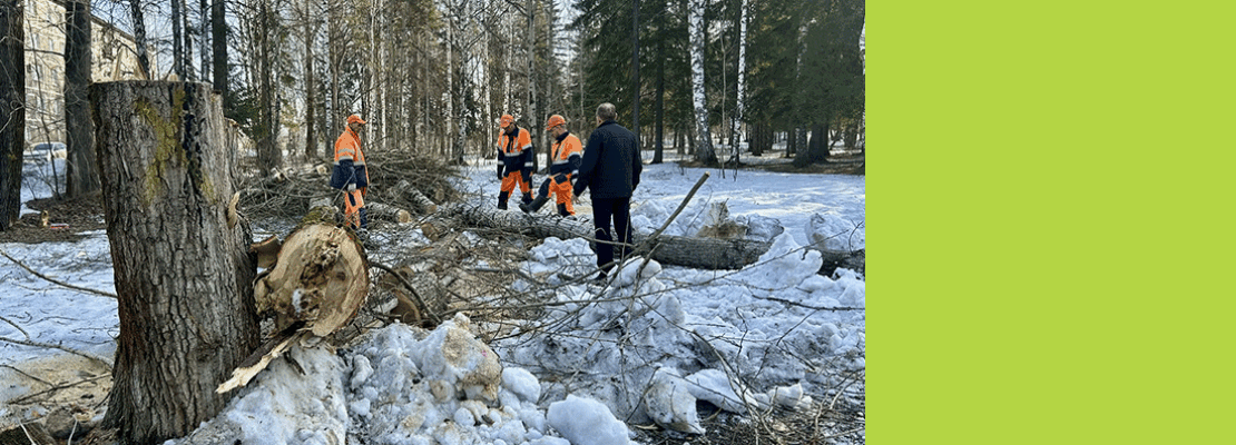 Началась большая работа