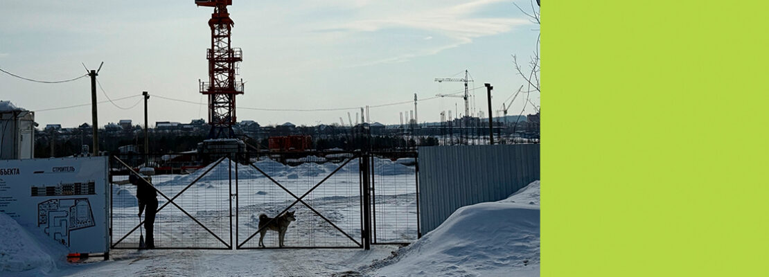 Только сторож и собака