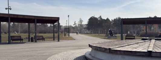 Следить за парками и скверами Нижнего Тагила будет «Служба экологической безопасности»