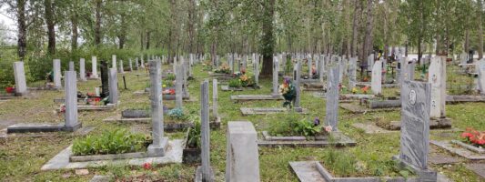 В Нижнем Тагиле нарезали землю под новое кладбище