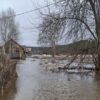 Деревню в пригороде Нижнего Тагила затопило из-за паводка