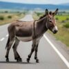 На Урале суду пришлось разбираться в ДТП с ослом