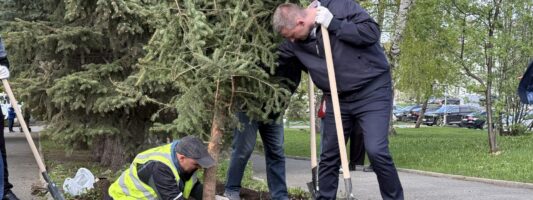 В старейшем сквере Нижнего Тагила высадили десятки новых деревьев