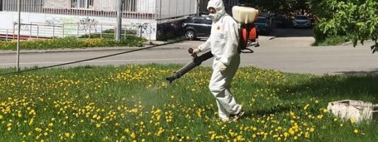 Кладбища в Нижнем Тагиле обработали от клещей