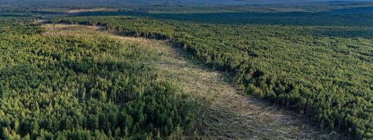 Их было два: синоптики Перми рассказали, как под Нижним Тагилом двигались смерчи