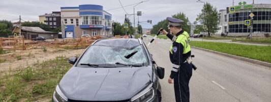 В Нижнем Тагиле в ДТП на «зебре» погиб 71-летний мужчина