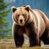 В Нижнем Тагиле медведи вышли к людям