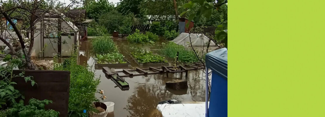 Затопило сады