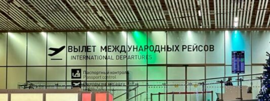Релокантам за границей ограничат доступ к госуслугам, кредитам и регистрации имущества