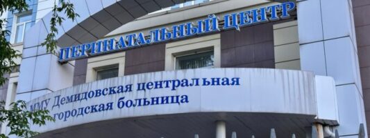 Госдума одобрила бесплатное ЭКО для жен и вдов участников СВО