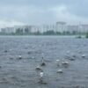 Погода продолжает чудить: штормовое предупреждение объявили на Урале