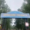 Из лагерей и садика под Нижним Тагилом экстренно вывозят детей: причина