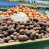 На Урале после дождей резко подорожал картофель