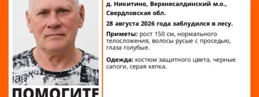 Пожилой грибник из Нижнего Тагила пропал в лесу: нужны добровольцы