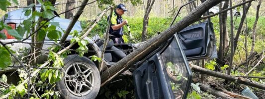 На Серовской трассе разбился водитель с эпилепсией