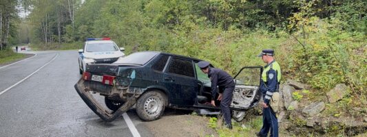 На трассе под Нижним Тагилом бесправник врезался в дерево