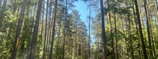 Средний Урал пережил локальное землетрясение