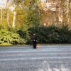В Нижнем Тагиле подросток выбежал под колеса кроссовера