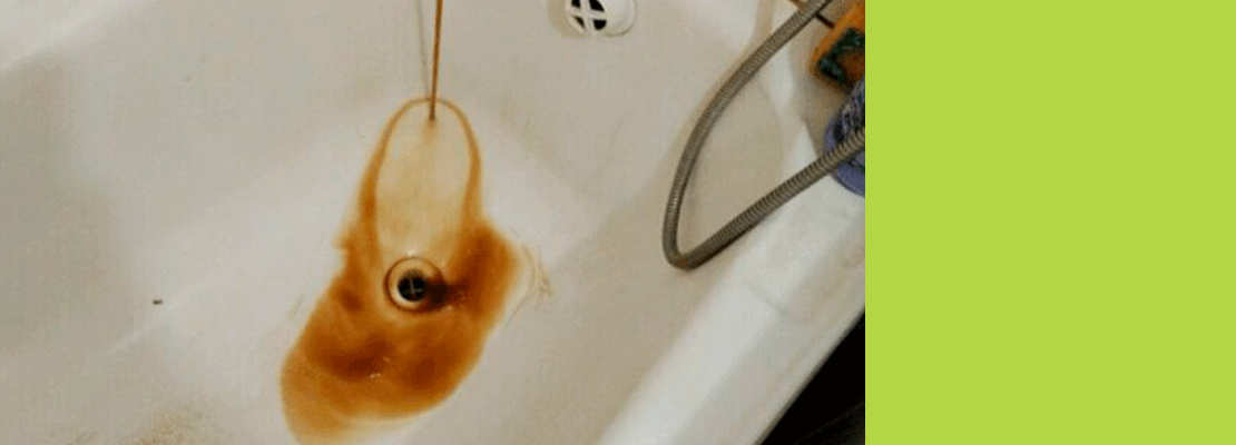Когда вода станет чистой?