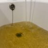 Нижний Тагил попросит у правительства 300 миллионов на проект новой станции водоочистки